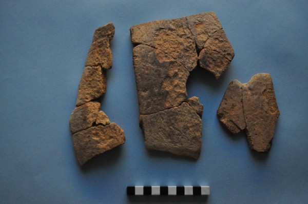 Phát hiện mảnh vỡ hộp sọ voi trong pháo đài Ai Cập 2.300 tuổi - Ảnh 3.