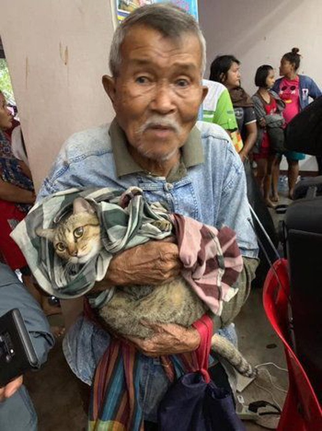 Cụ ông gây xúc động khi ôm khư khư chú mèo cưng đi tránh cơn bão lớn nhất 3 thập kỷ ở Thái Lan - Ảnh 1.