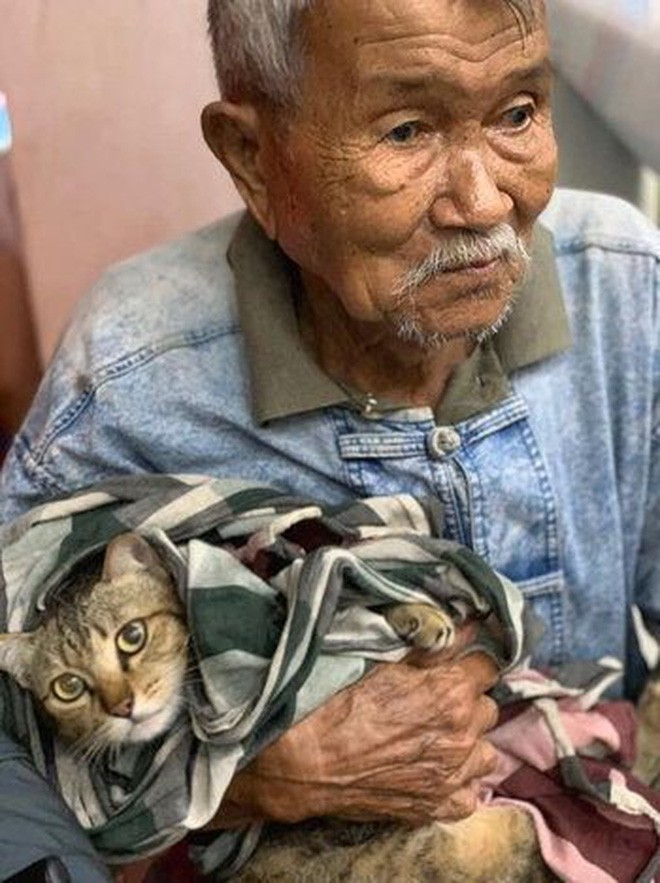 Cụ ông gây xúc động khi ôm khư khư chú mèo cưng đi tránh cơn bão lớn nhất 3 thập kỷ ở Thái Lan - Ảnh 2.