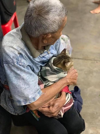 Cụ ông gây xúc động khi ôm khư khư chú mèo cưng đi tránh cơn bão lớn nhất 3 thập kỷ ở Thái Lan - Ảnh 4.