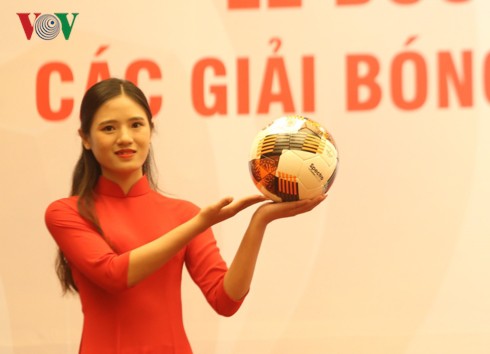 ĐKVĐ Hà Nội đụng độ Than Quảng Ninh ở lượt trận đầu tiên V-League 2019 - Ảnh 3.