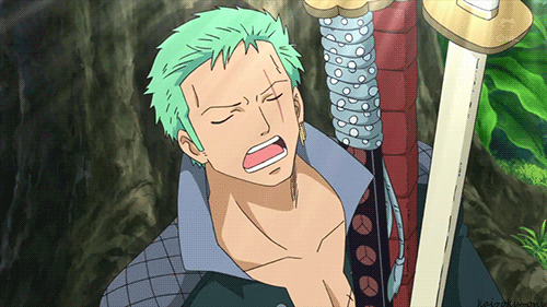One Piece: Roronoa Zoro - Thánh đi lạc nhưng luôn ngầu như trái bầu trong mọi hoàn cảnh - Ảnh 11.
