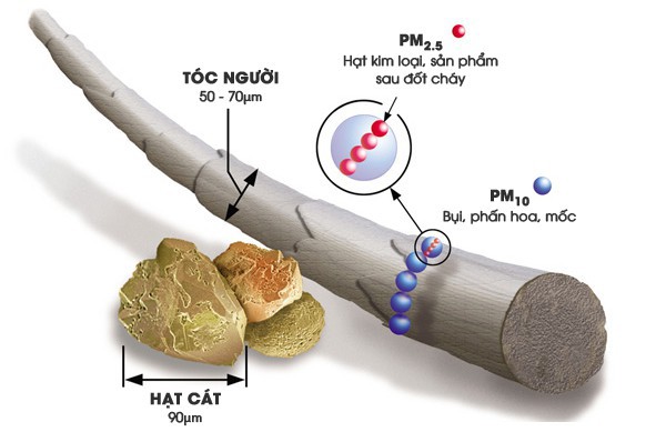 Gợi ý vài loại khẩu trang lọc bụi mịn tốt, dùng được lâu cho những ngày ô nhiễm đỉnh điểm này - Ảnh 1.