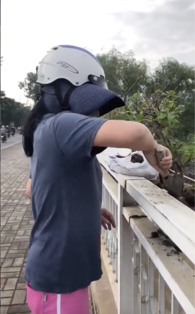 Người phụ nữ ngang nhiên bứng trộm cây cảnh ở Phú Mỹ Hưng, bị nhắc nhở còn cố chấp: Em chỉ xin 1, 2 cây thôi mà - Ảnh 3.