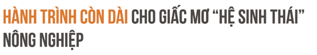 Rót hơn tỷ USD vào HAGL: Chuyện chẳng đùa và giấc mơ khủng về hệ sinh thái nông nghiệp của tỷ phú Trần Bá Dương (Kỳ 2) - Ảnh 3.