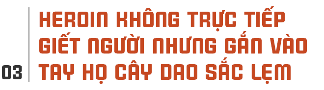 Trại cai nghiện tại gia, chuyện đàn con nằm 3 ngày bên xác mẹ và chân dung những tỉ phú không lương - Ảnh 8.