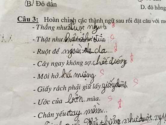 Bài kiểm tra thành ngữ của học sinh cấp một: Cây ngay không sợ… cọp, môi hở hàm ếch - Ảnh 4.