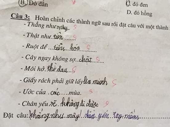 Bài kiểm tra thành ngữ của học sinh cấp một: Cây ngay không sợ… cọp, môi hở hàm ếch - Ảnh 5.