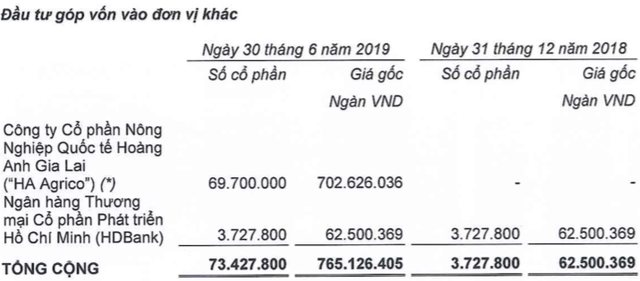 THACO tăng 6.500 tỷ dư nợ vay: Nếu 1 năm mà không thấy hướng ra dễ bị ngân hàng ‘chặt’ luôn cùng HAGL, vì mình cũng nợ - Ảnh 2.