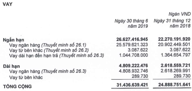 THACO tăng 6.500 tỷ dư nợ vay: Nếu 1 năm mà không thấy hướng ra dễ bị ngân hàng ‘chặt’ luôn cùng HAGL, vì mình cũng nợ - Ảnh 5.