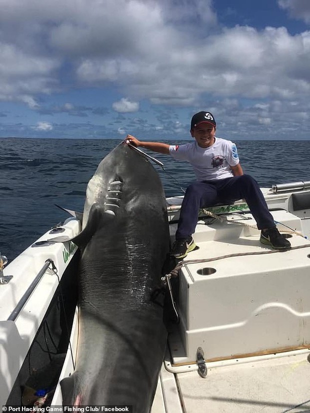 Cậu bé 8 tuổi bất ngờ câu được cá mập hổ nặng 314 kg, dự đoán phá cả kỷ lục thế giới cách đây 22 năm - Ảnh 2.