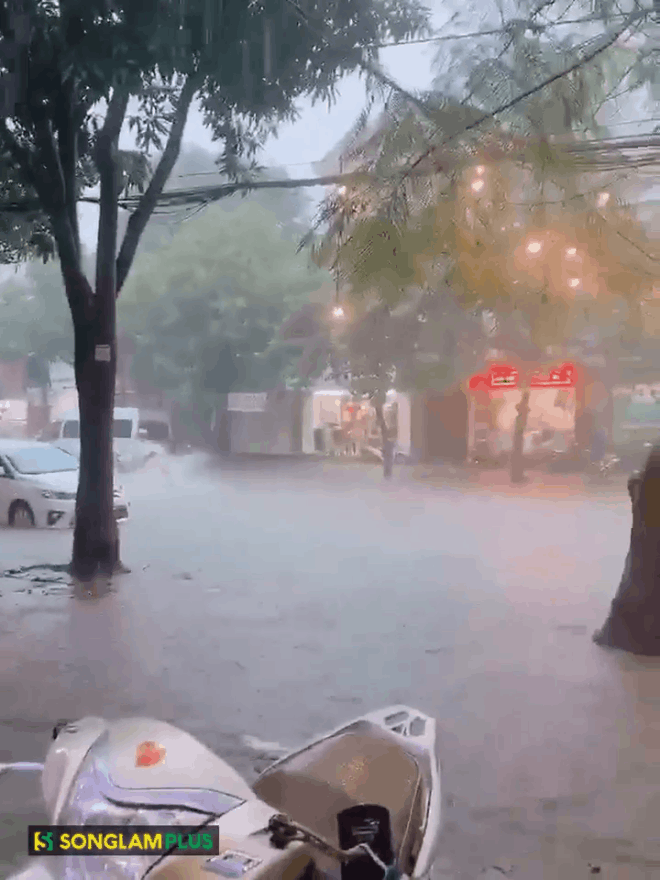 CLIP: Mưa lớn ở Nghệ An, nước chảy cuộn như sóng khiến nhiều người kinh ngạc  - Ảnh 2.