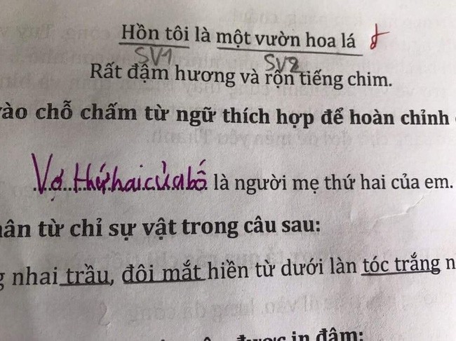 Cô giáo ra câu hỏi “Người mẹ thứ hai của em là ai”, học sinh cấp 1 đưa ra đáp án khiến ai cũng cười bò - Ảnh 1.