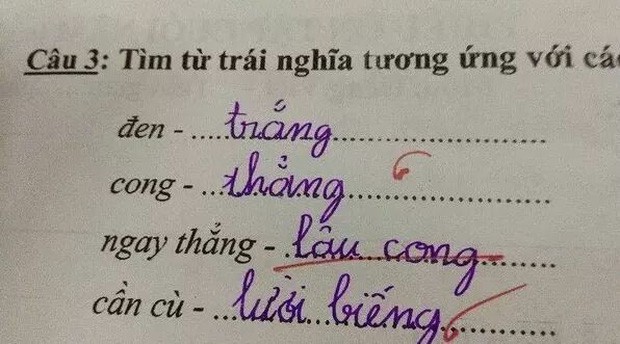 Trong giờ học cô giáo hỏi hạnh phúc là gì?, học sinh đưa ra câu trả lời khiến cô cũng phải câm nín - Ảnh 4.