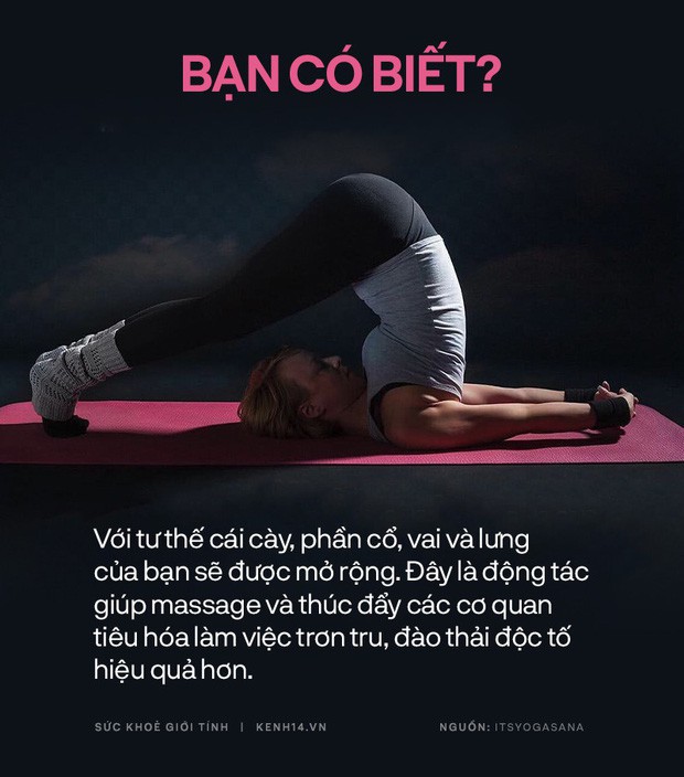 Bạn có biết: 10 tư thế yoga đơn giản sau đây đều có tác dụng rất tốt cho sức khoẻ và tinh thần - Ảnh 4.