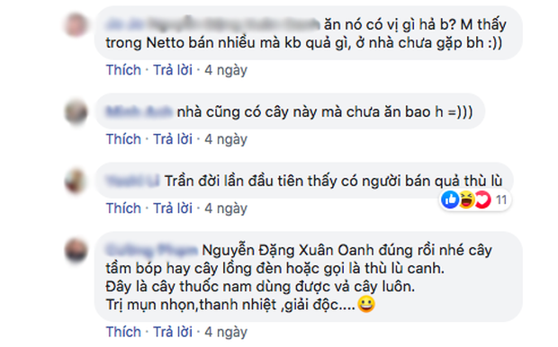 Một loại quả mọc dại ở Việt Nam nhưng lại được bày bán “sang chảnh” ở siêu thị nước ngoài, vài nơi còn không có đủ cho khách mua - Ảnh 6.