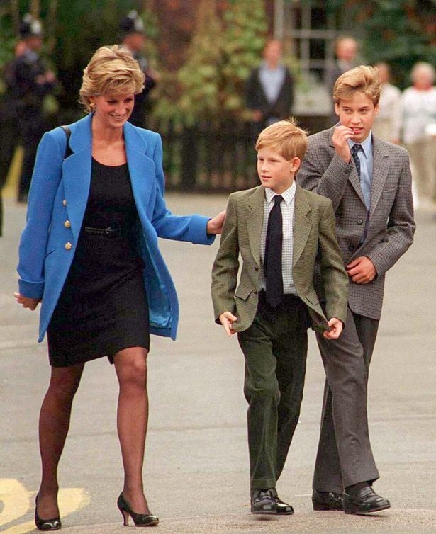 Phát biểu của Hoàng tử Harry khiến gia đình hoàng gia bị sốc - Ảnh 4.