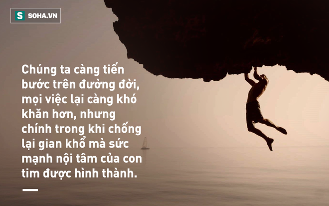 Rắn hùng hổ lao vào tấn công ếch, chưa được bao lâu đã từ bỏ ý định và hồi kết đáng ngẫm - Ảnh 1.