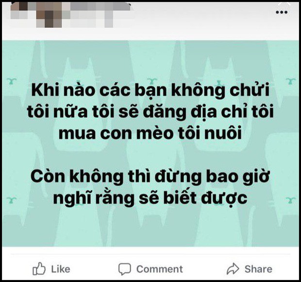 Vụ gái xinh mua mèo bị cà khịa: Xuất hiện tài khoản Facebook giả mạo nam chính 1 cách tinh vi, tiếp tục kích war - Ảnh 2.