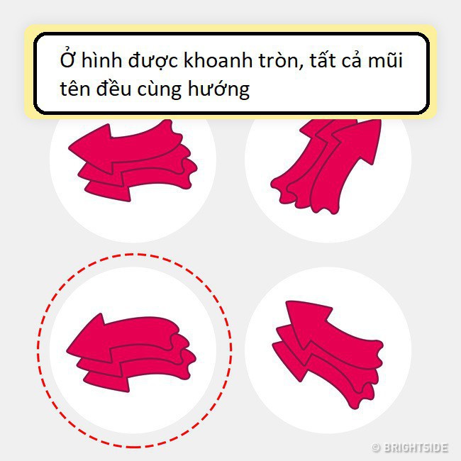 11 câu đố không dành cho người kém thông minh, bạn có muốn thử tài không? - Ảnh 12.