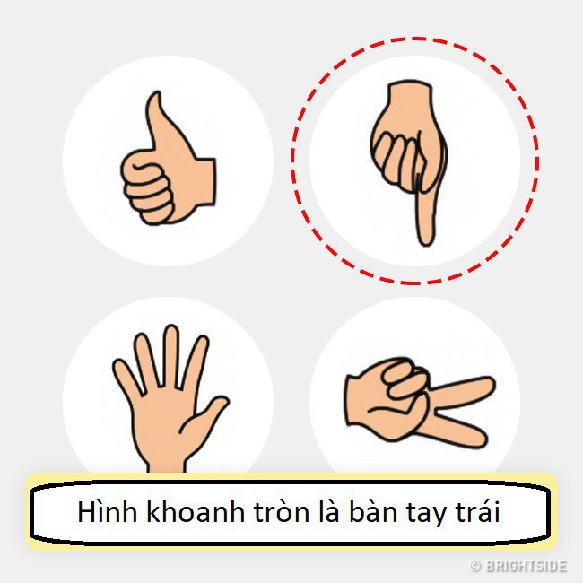 11 câu đố không dành cho người kém thông minh, bạn có muốn thử tài không? - Ảnh 4.