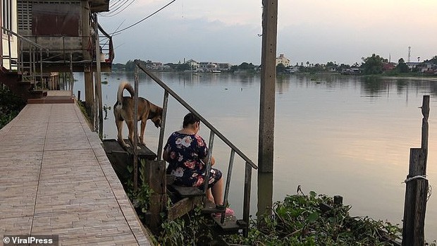 Bị lạc sau khi ngã xuống nước, chú chó trung thành vẫn ngày ngày ra bến sông ngóng chờ chủ quay lại đón - Ảnh 3.