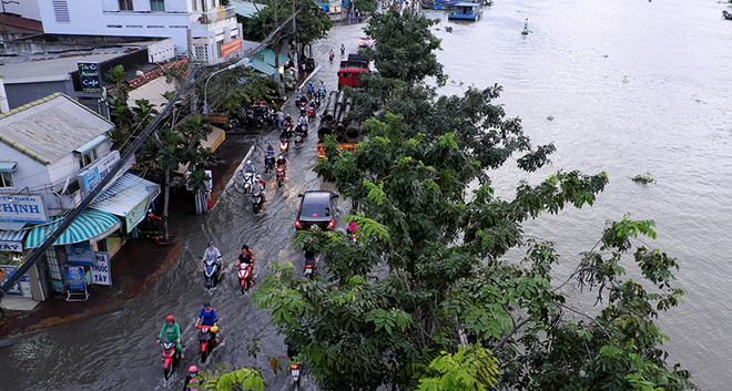 Tạp chí Nature: TP.HCM và hầu hết miền Nam Việt Nam sẽ chìm dưới nước sau 31 năm nữa - Ảnh 4.