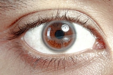 9 dấu hiệu bất thường trên đôi mắt cảnh báo bệnh tật nguy hiểm - Ảnh 1.