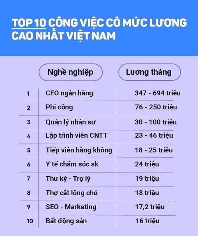 Cắt lông chó - nghề siêu hot lọt top 10 công việc có lương cao nhất ở Việt Nam, kiếm hơn 18 triệu đồng/tháng nhàn như chơi, liệu sự thật như thế nào? - Ảnh 1.