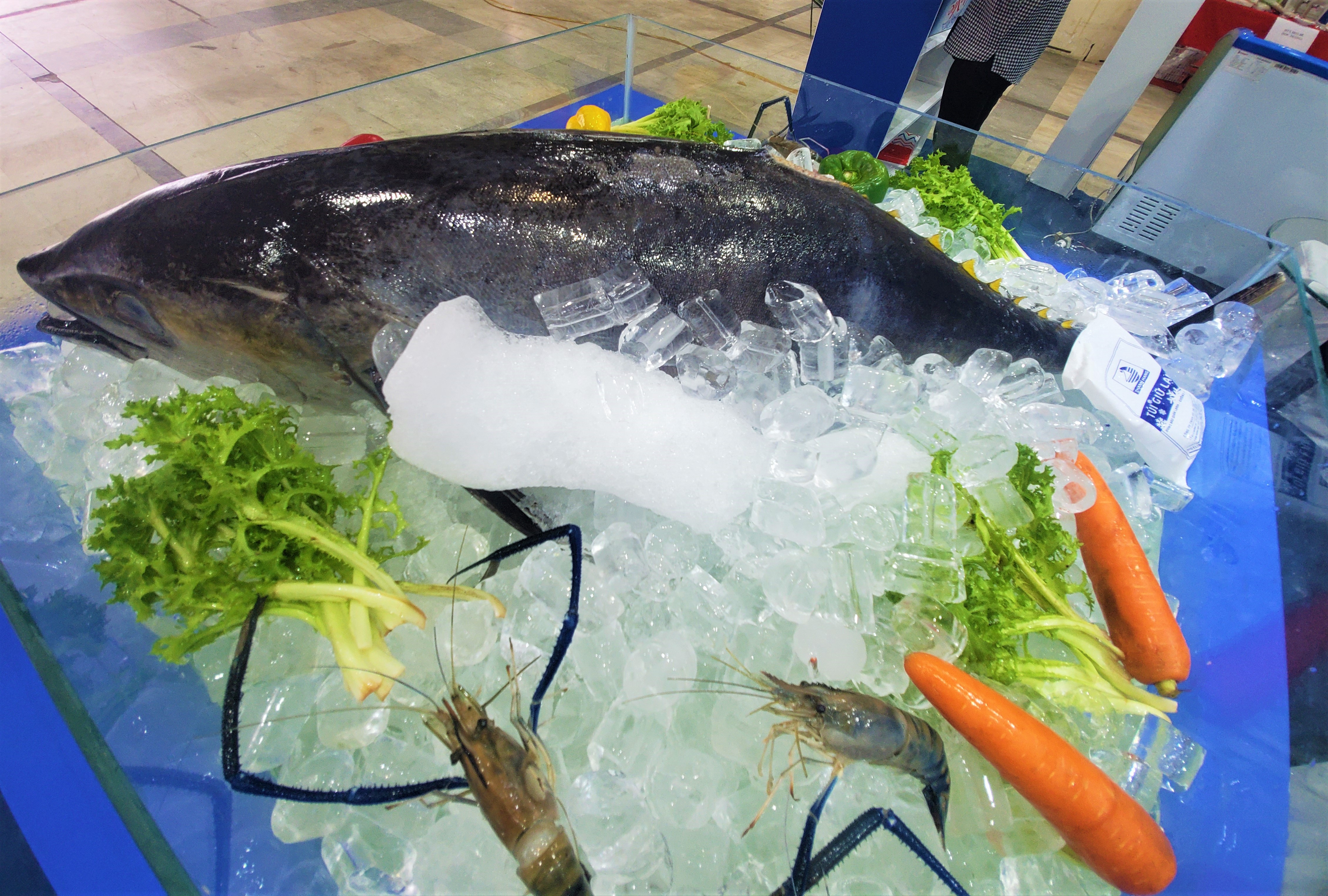 Đặc sản cá ngừ đại dương tại Phú Yên không thể bỏ qua