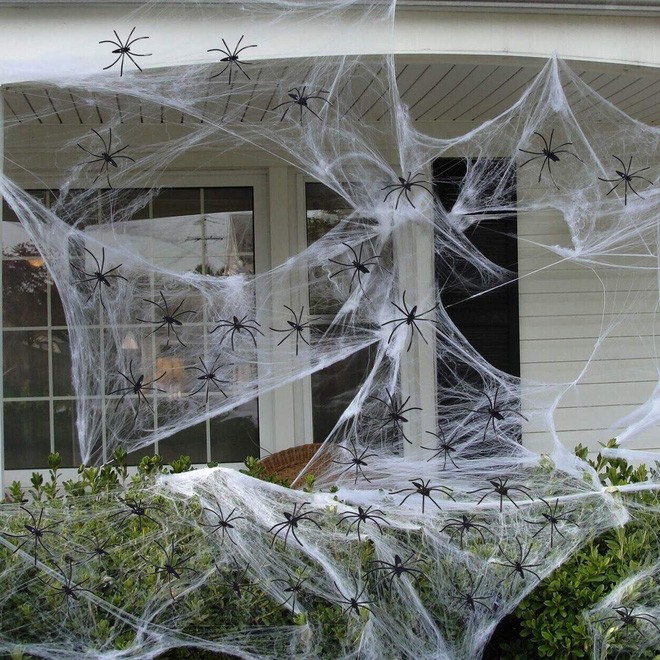 Thói quen dùng mạng nhện giả trang trí mùa Halloween: Siêu rẻ và ma mị, nhưng lại là một thảm họa sinh thái thực sự - Ảnh 3.