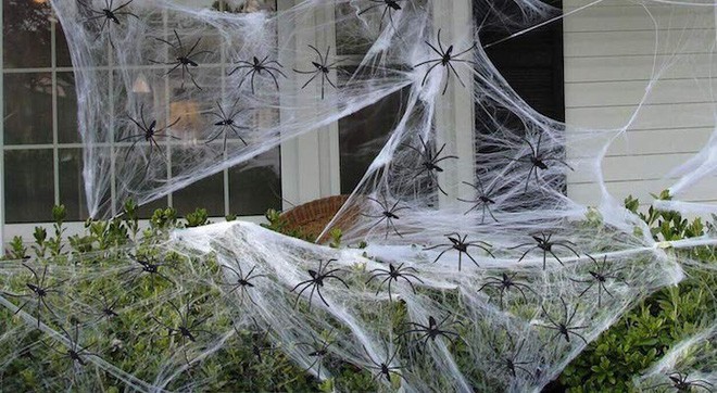 Thói quen dùng mạng nhện giả trang trí mùa Halloween: Siêu rẻ và ma mị, nhưng lại là một thảm họa sinh thái thực sự - Ảnh 4.