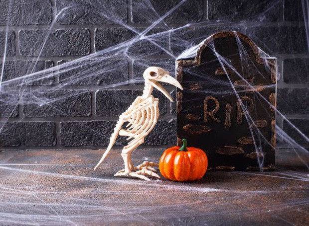 Thói quen dùng mạng nhện giả trang trí mùa Halloween: Siêu rẻ và ma mị, nhưng lại là một thảm họa sinh thái thực sự - Ảnh 6.