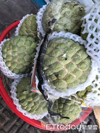 Bức ảnh giỏ mãng cầu tặng kèm bé Na gây xôn xao mạng xã hội và nguyên nhân đằng sau khiến mọi người hoảng hốt khi biết được - Ảnh 2.