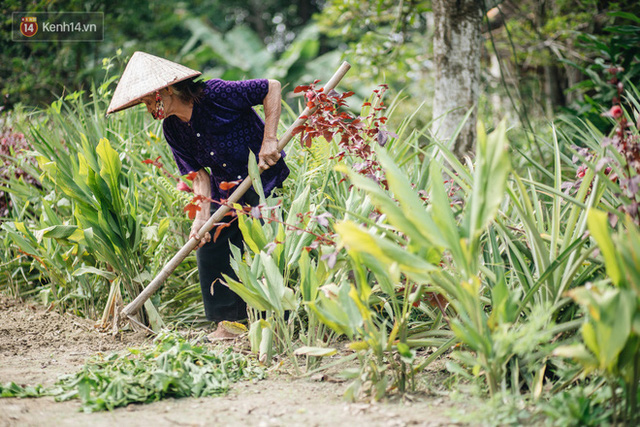 Cuộc sống lạc quan, tự tại của cụ bà đạp xe lên ủy ban xã xin ra khỏi hộ nghèo: 11 đứa con mà tui chưa phải phiền đến đứa mô - Ảnh 13.