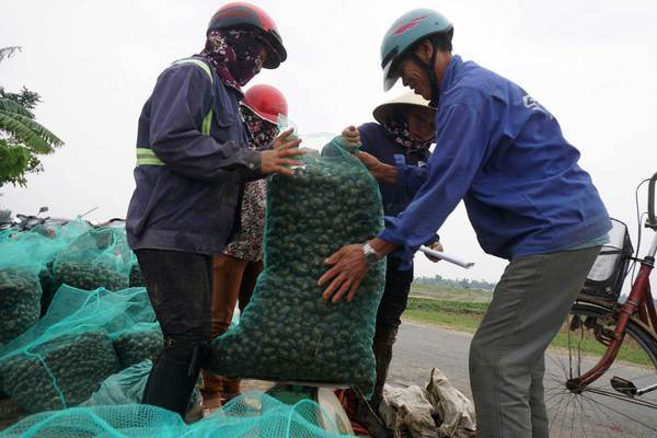 Con vật gây khiếp sợ 1 thời, nay bị săn lùng bán kiếm tiền triệu - Ảnh 3.