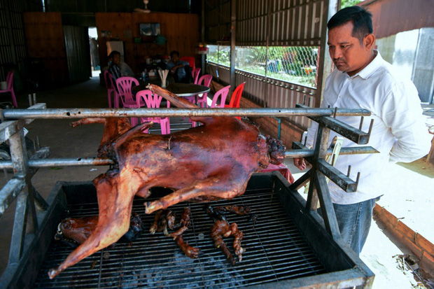 Ngành kinh doanh thịt chó ở Campuchia: Tàn bạo, đầy tội lỗi và những hệ lụy sức khỏe đáng báo động - Ảnh 1.