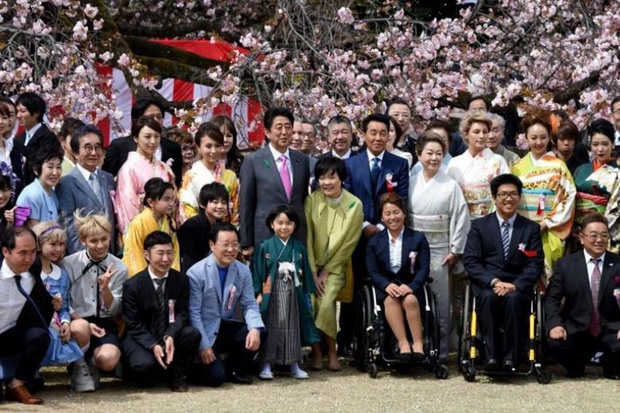 Nhật Bản bất ngờ hủy bỏ lễ hội hoa anh đào năm 2020 - Ảnh 1.