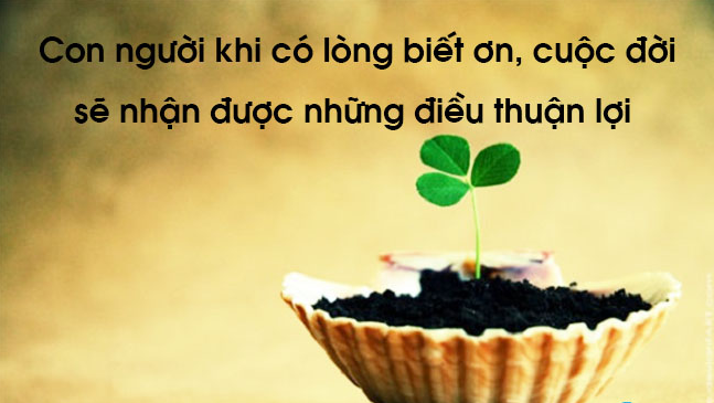 Thắng trận trở về, tướng quân Nhật tiết lộ bí mật khiến cấp dưới không thốt nên lời - Ảnh 6.