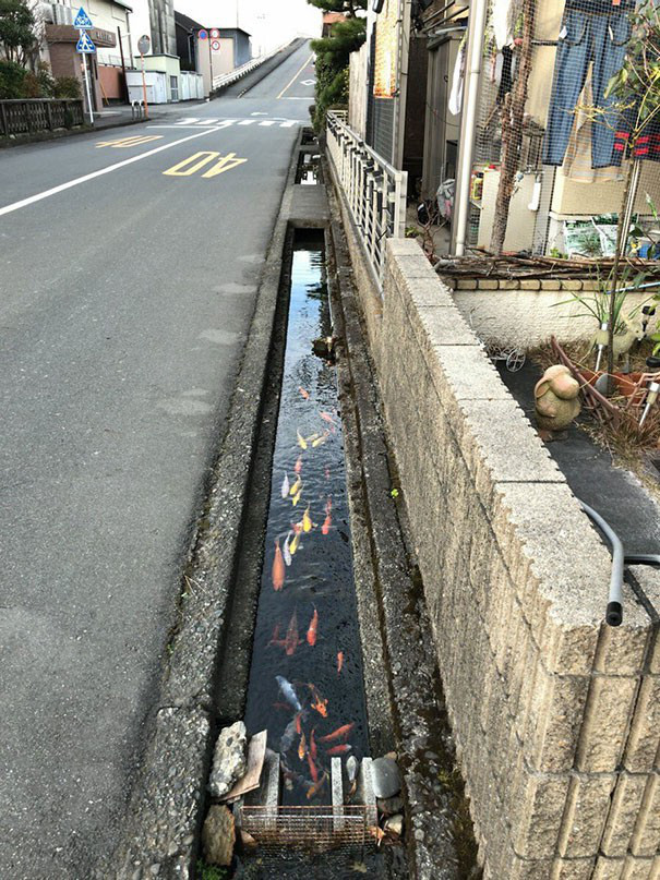 Cá bơi dưới cống, tận dụng nước rửa tay để xả bồn cầu và 22 sự thật thú vị về Nhật Bản thời hiện đại - Ảnh 16.