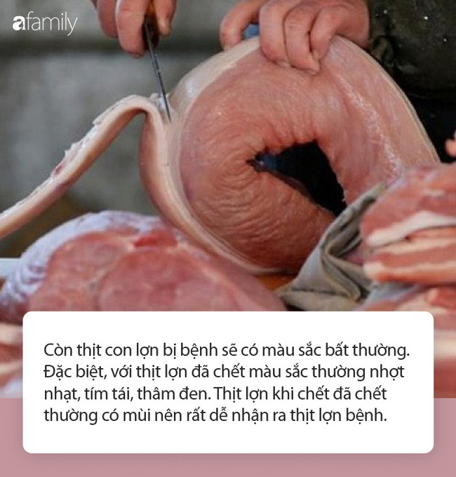 Thời điểm tiêu thụ thịt lợn “nóng” nhất chưa tới nhưng đã có người suýt chết do liên cầu khuẩn: Chuyên gia lưu ý điều quan trọng khi chọn mua thịt lợn - Ảnh 3.