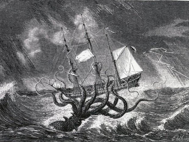 Loài mực khổng lồ có thể đánh chìm thuyền bè tưởng chỉ có trong truyền thuyết và bí ẩn 150 năm mới có lời giải - Ảnh 2.