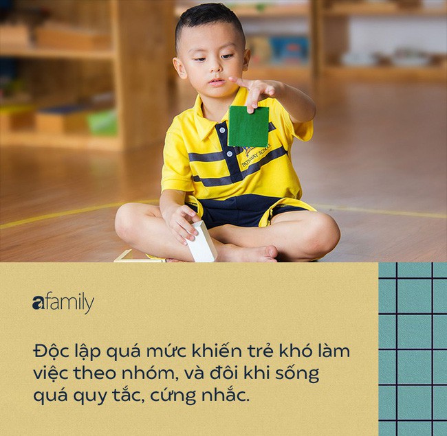Tất tật ưu nhược điểm của phương pháp Montessori: Bố mẹ nắm rõ trước khi cho trẻ theo học - Ảnh 6.