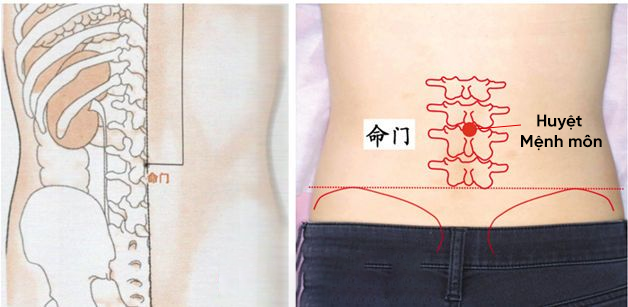 Xoa thân bổ thận – Bí quyết dưỡng thận tráng dương nổi tiếng Đông y đơn giản mà hiệu quả - Ảnh 4.