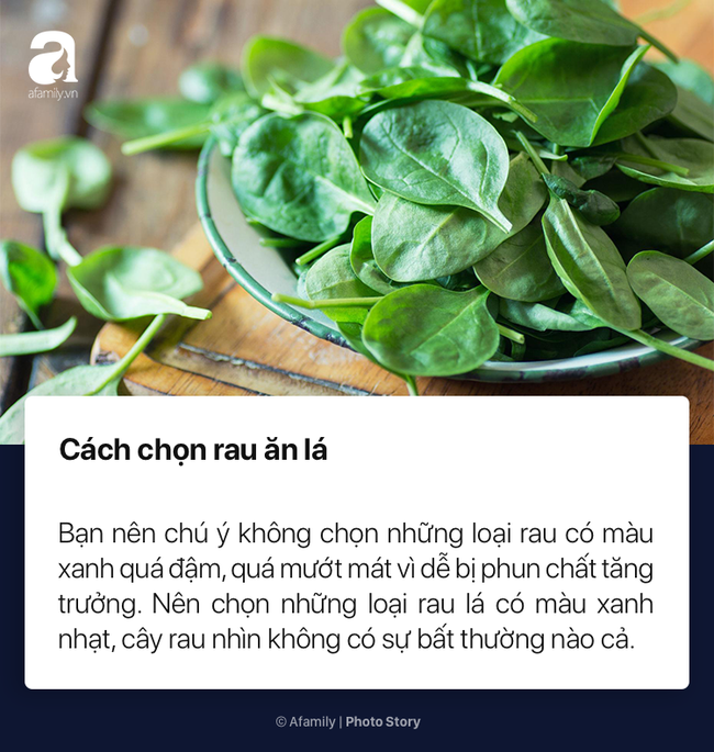 Mách nhỏ chị em lần đầu đi chợ 7 cách chọn rau củ quả tươi ngon không dính hóa chất cực kỳ đơn giản - Ảnh 3.