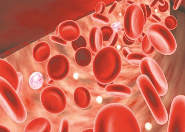Thiếu máu rất nguy hiểm: TS dinh dưỡng hướng dẫn 5 tuyệt chiêu bổ máu hiệu quả nhất - Ảnh 4.