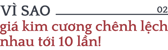 Người đưa viên kim cương đen độc nhất thế giới đến Việt Nam bật mí góc khuất về kinh doanh kim cương - Ảnh 4.