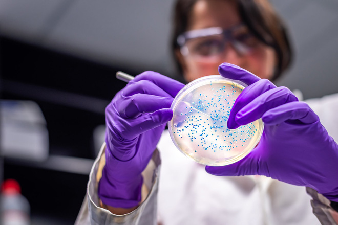 Các nhà khoa học tạo ra một chủng vi khuẩn E. coli có thể ăn khí CO2 để sống - Ảnh 2.