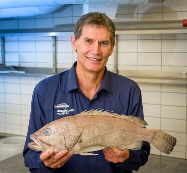 Người Úc ngày nào cũng ăn và khen con cá này ngon, nhưng hóa ra lại là loài khoa học chưa từng biết đến - Ảnh 1.