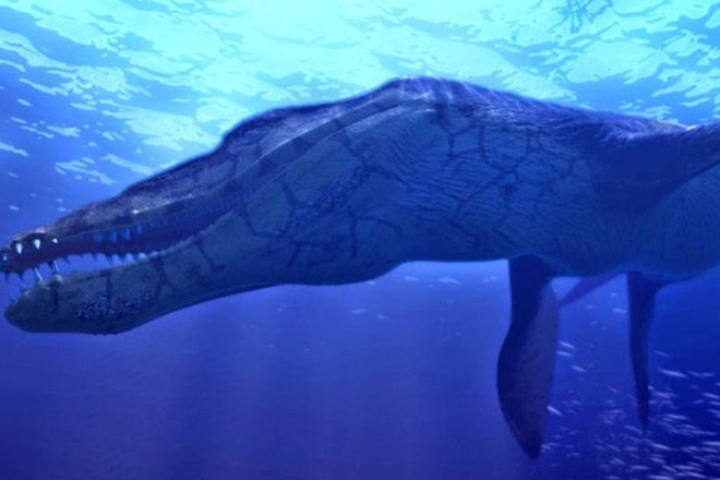 Quái vật biển 150 triệu năm tuổi, kích thước siêu to khổng lồ vừa được phát hiện ở Ba Lan - Ảnh 1.